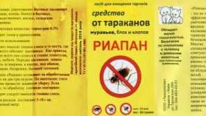 Jak se zbavit lůžek s prachem